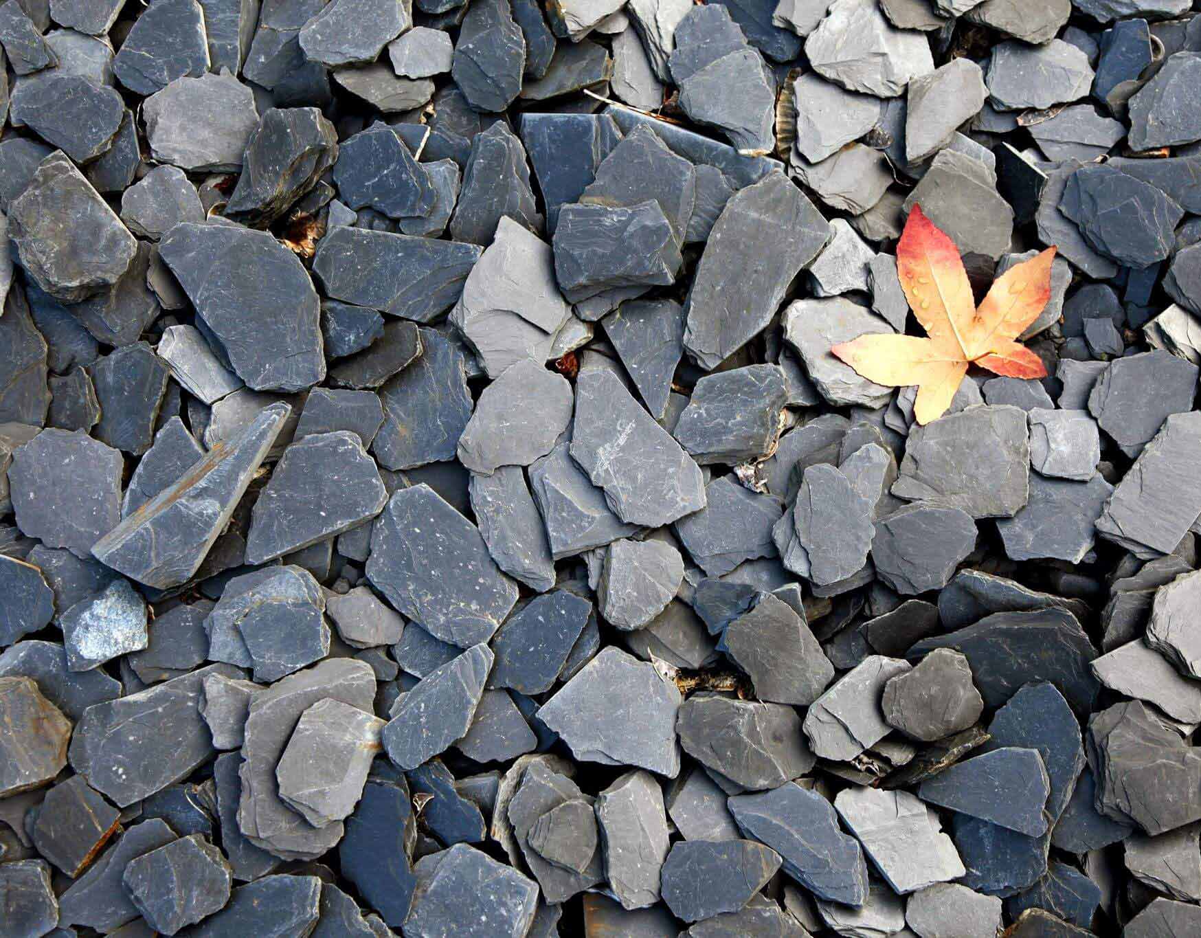 Сланцева мульча. Ландшафтний сланець Samaca